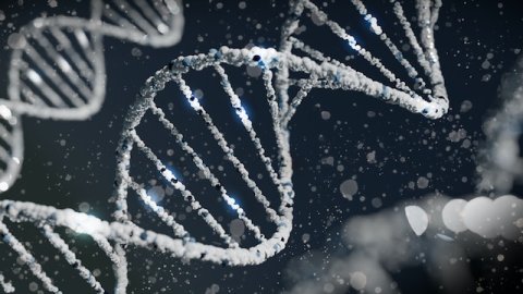 DNA Stränge 
