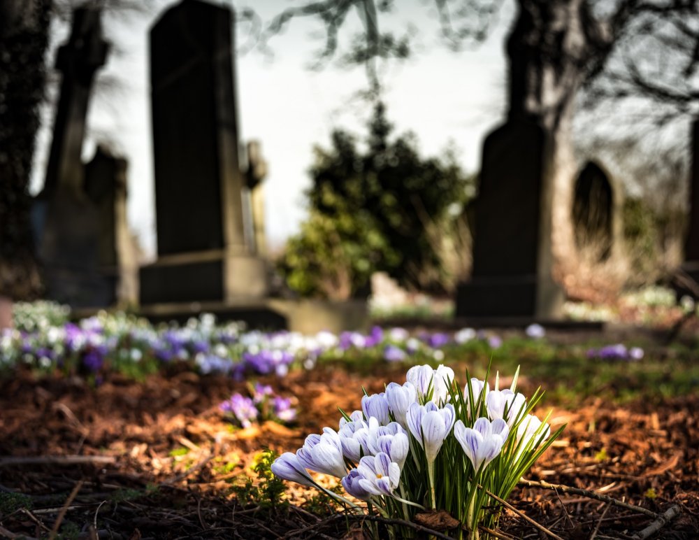 Friedhof Tote Verstorbene Begräbnis