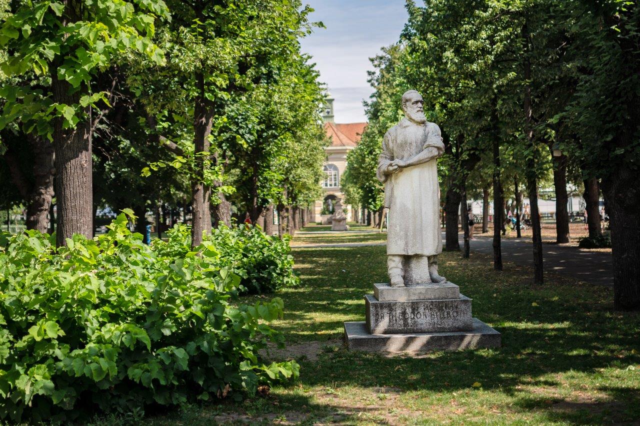 Statue Billroth Altes AKH Wien
