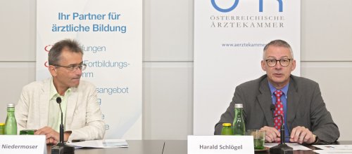 Niedermoser Schlögl OÄK Präsentation Umfrage Ärzteausbildung