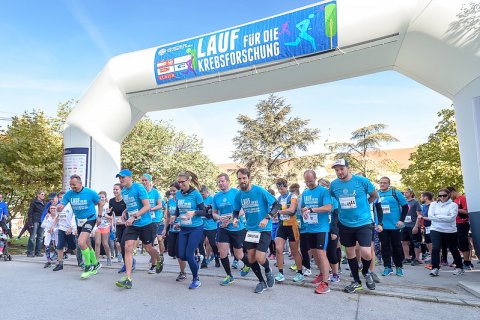 Krebsforschungslauf MedUni Wien