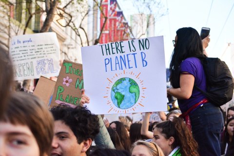 Klimawandel Demonstration 