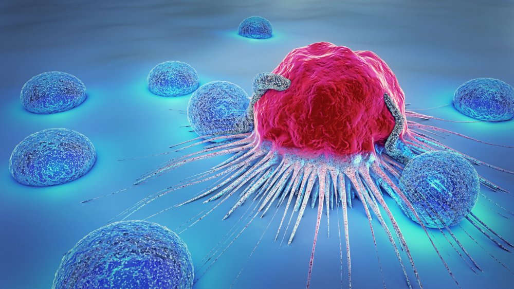 Krebszelle und Lymphozyten