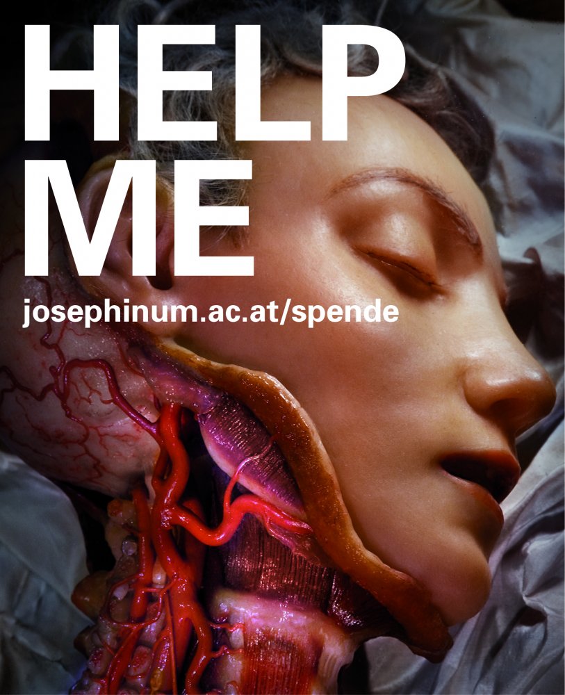 Unter dem Motto „Ein einzigartiger Patient braucht Ihre Hilfe“ lädt das Josephinum in einer Kampagne zum Spenden ein.
