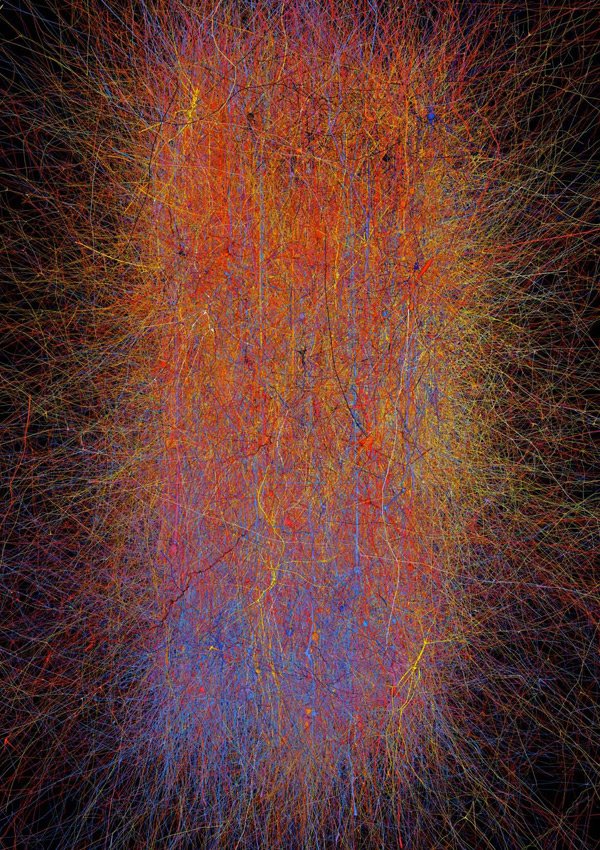 Darstellung verschiedener neokortikaler Neuronen, Säugetier, Blue Brain Project / École Polytechnique Fédérale de Lausanne