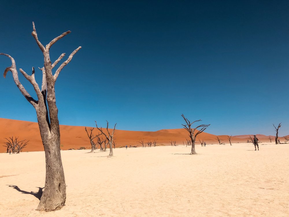 Dürre Hitze Afrika